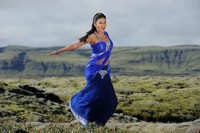 Amala Paul Photos in Nayak